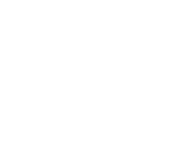 Rolls of toilet paper