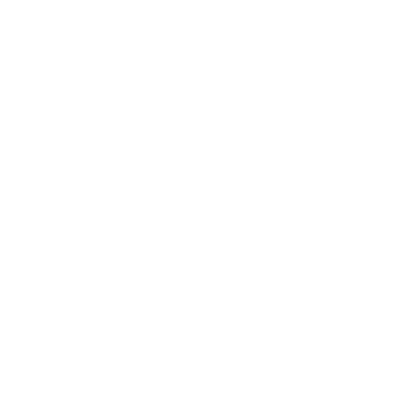 magnifying glass icon